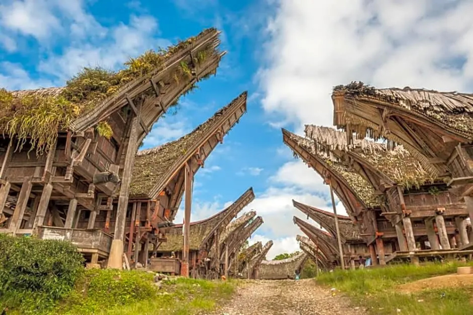 Sugi House Toraja - Villa Penginapan Sewa Harian
