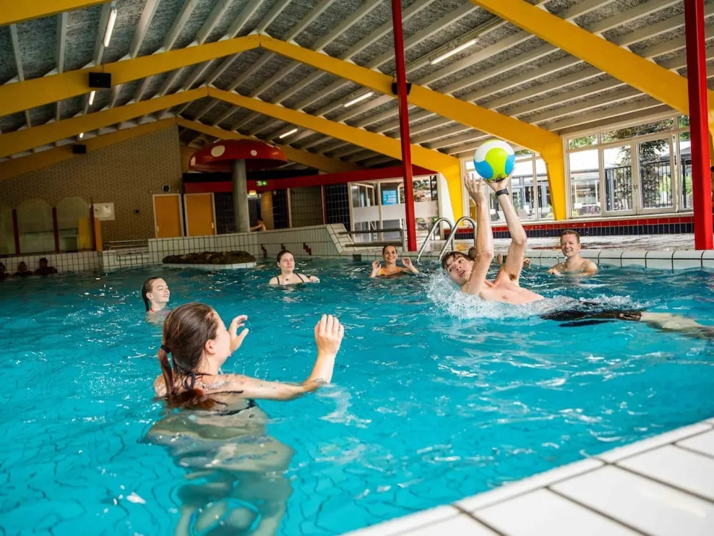 Comfortable Chalet in the Middle of De Veluwe