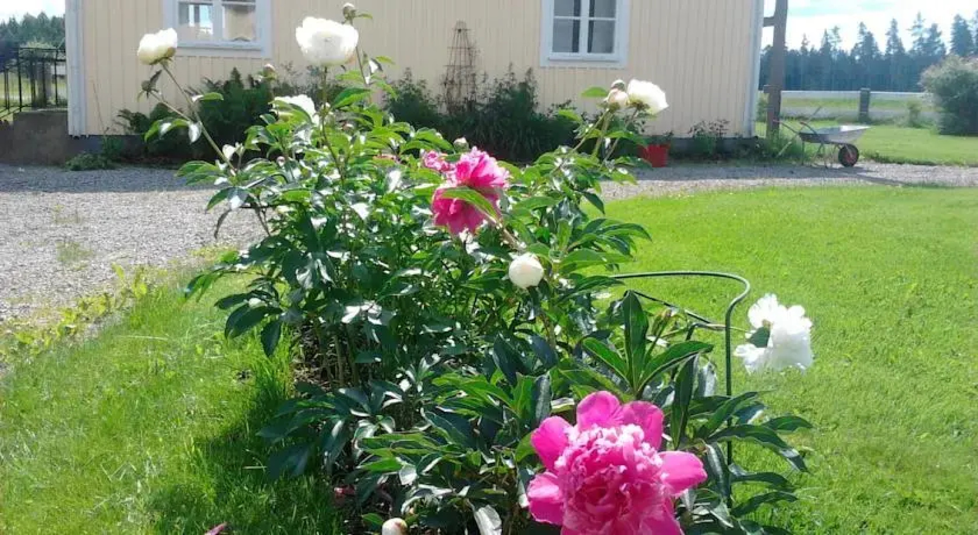 Sonarps Bed and Breakfast