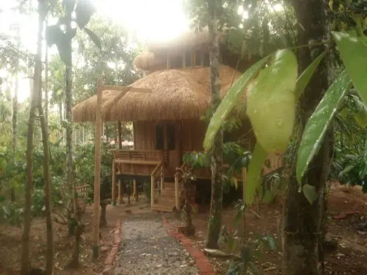 Wayanad Coffee Mist Resort