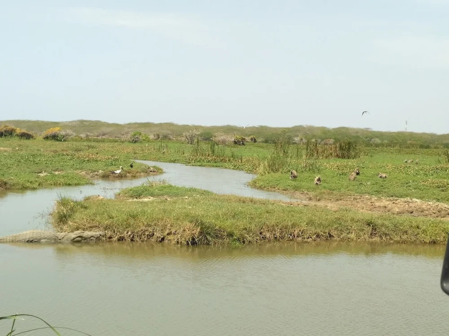 Hotel Bundala Park - Hostel