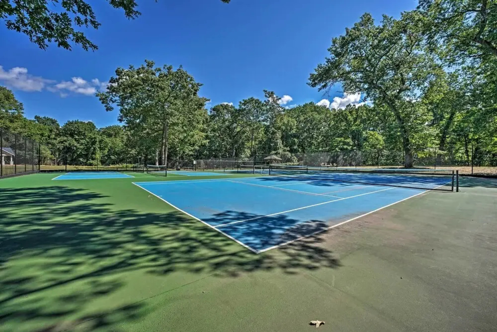 Luxury Family Home w/ Deck, Swim Spa & Grill!