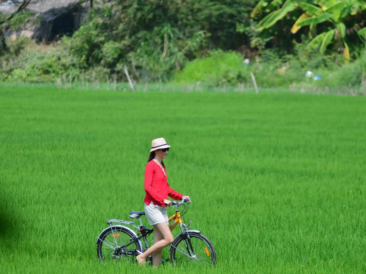 Victoria Nui Sam Lodge
