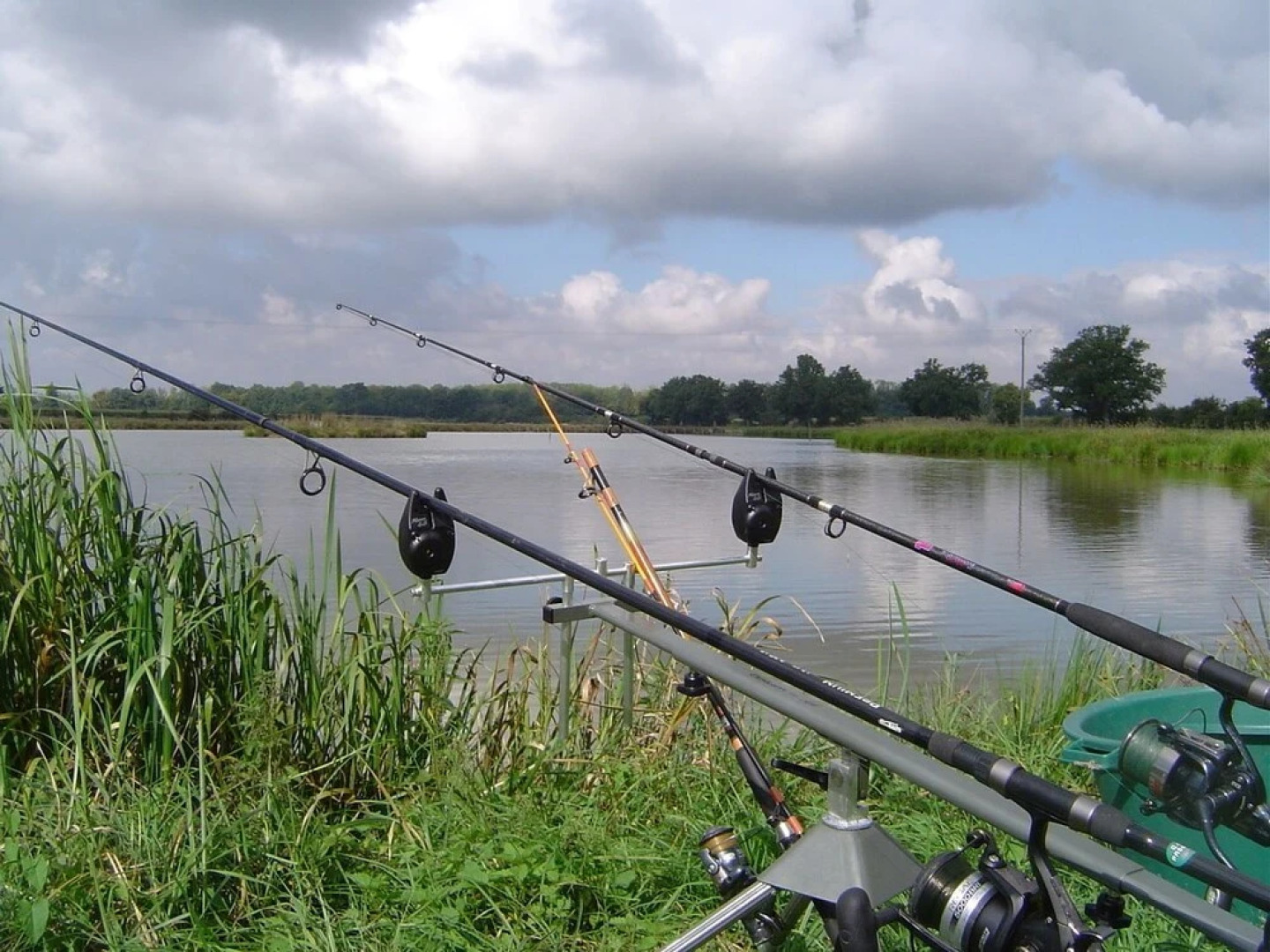 Gite Insolite "La Roulotte des Elfes", Au Milieu de Nulle Part