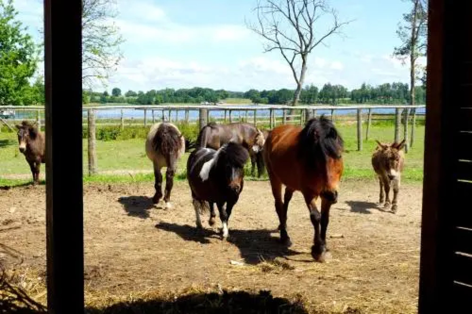 Pałac Parkowy w Parnowie