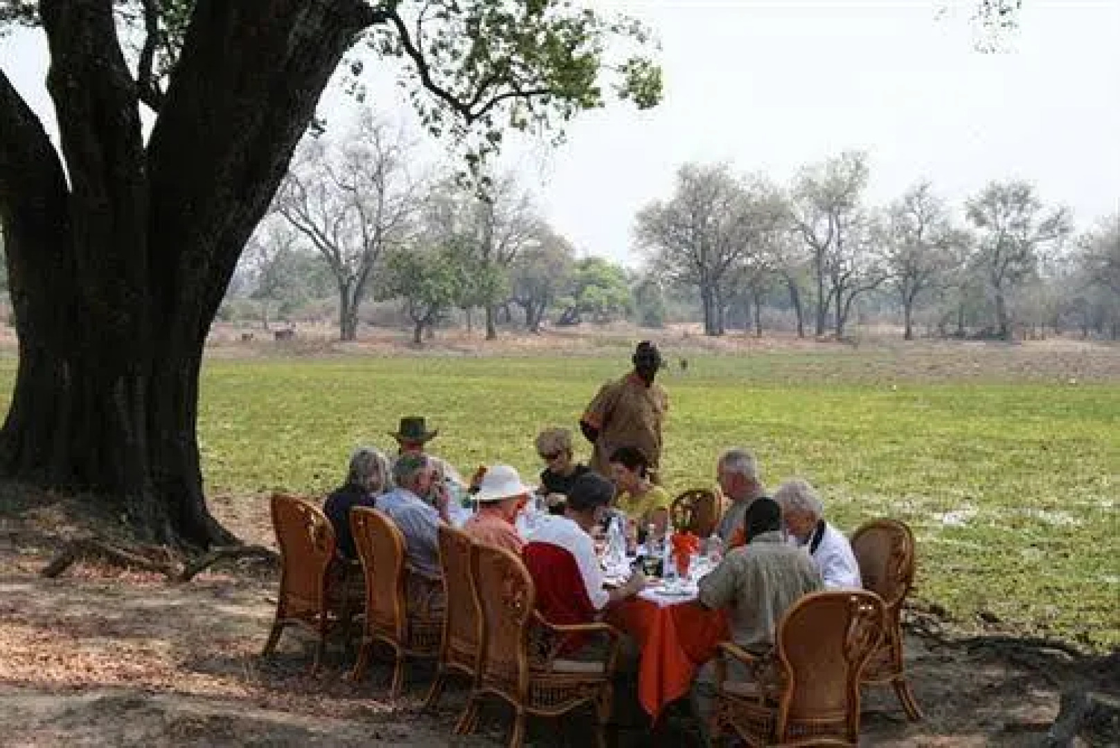 Three Cities Mushroom Lodge & Presidential House