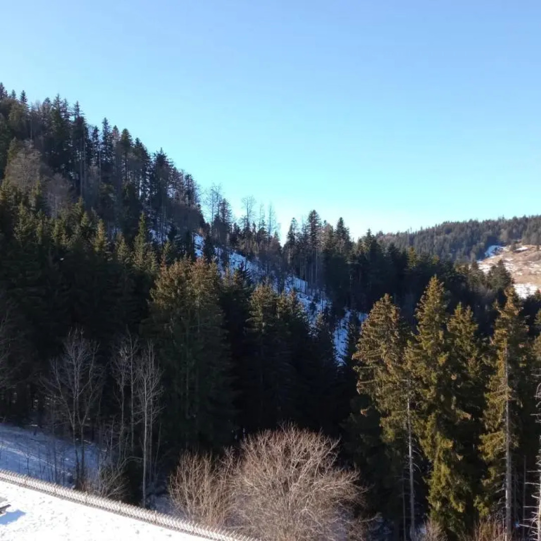 Appartement dernier étage au pied des pistes HIRMENTAZ