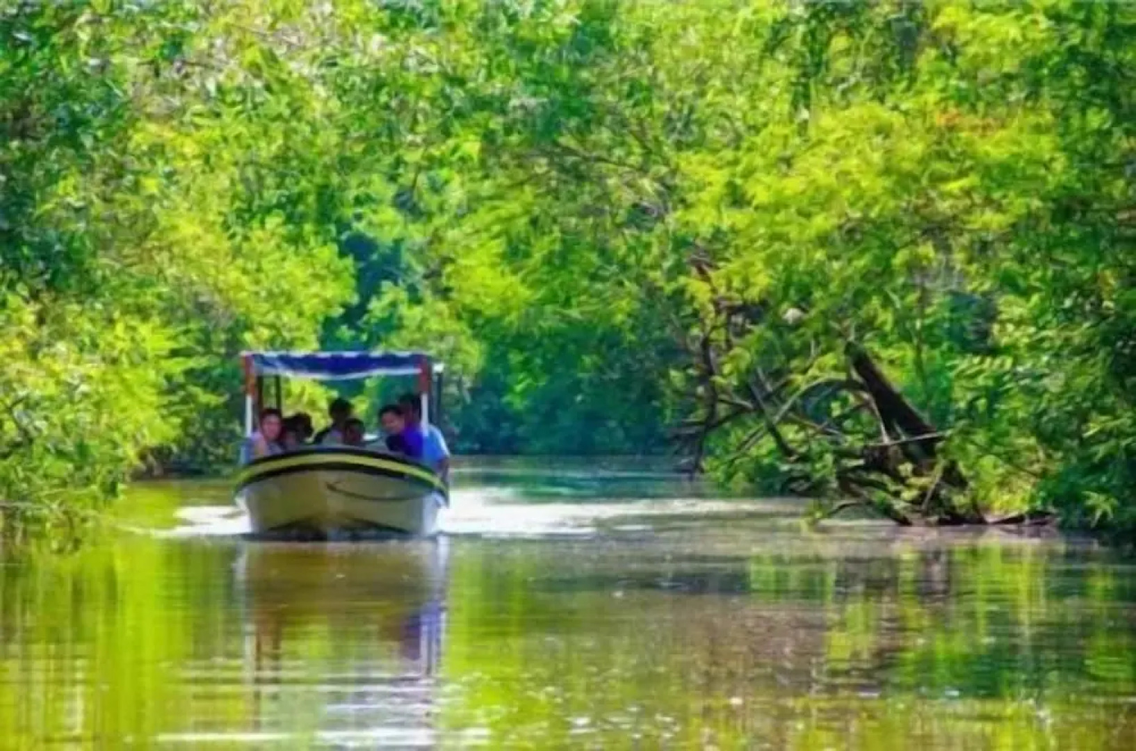 Hotel Casa Shula Acapulco