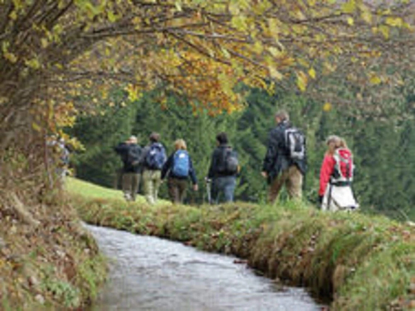 Luscious Apartment in Rickenbach With Free Wifi