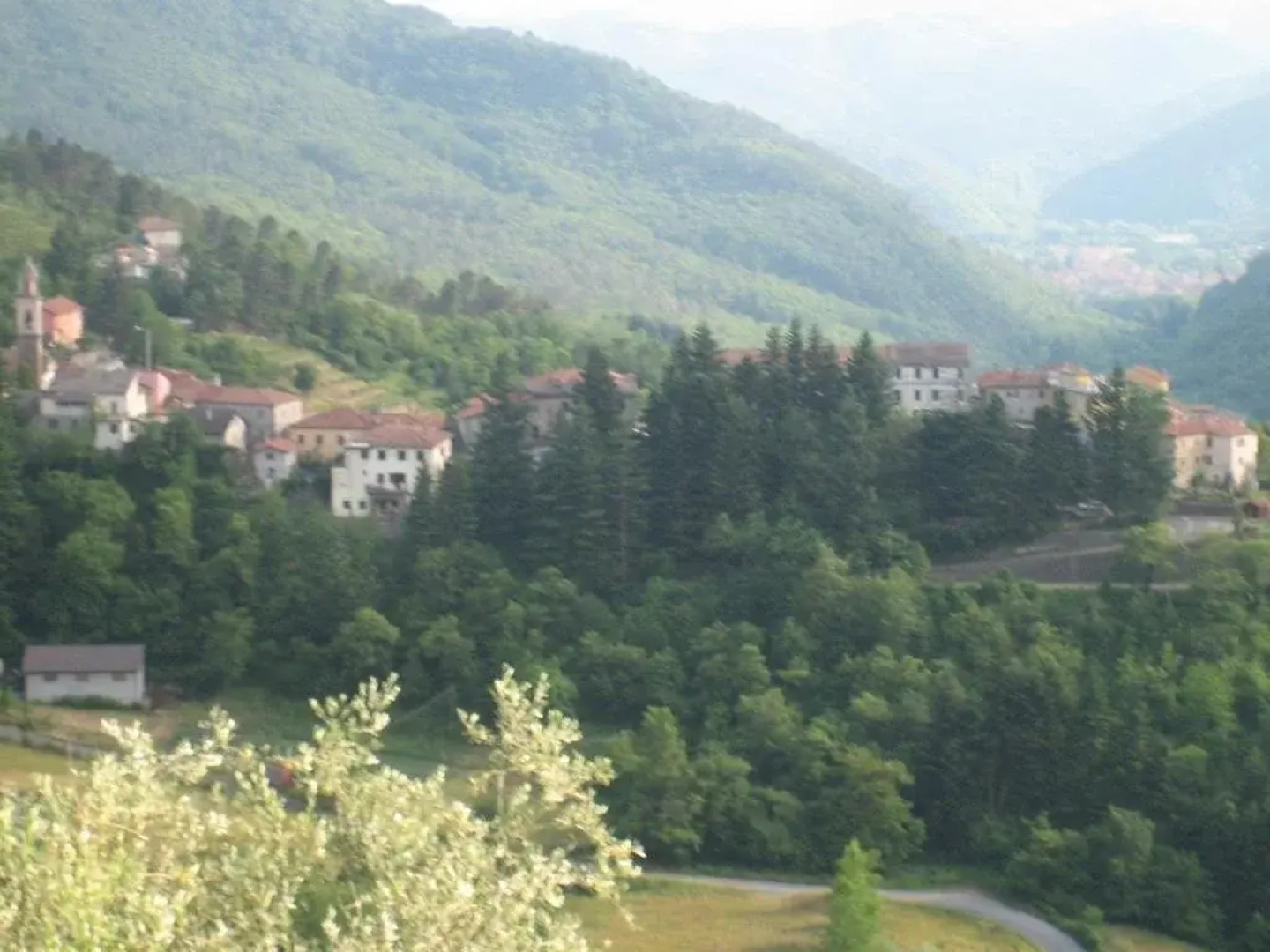 Agriturismo I Luvi