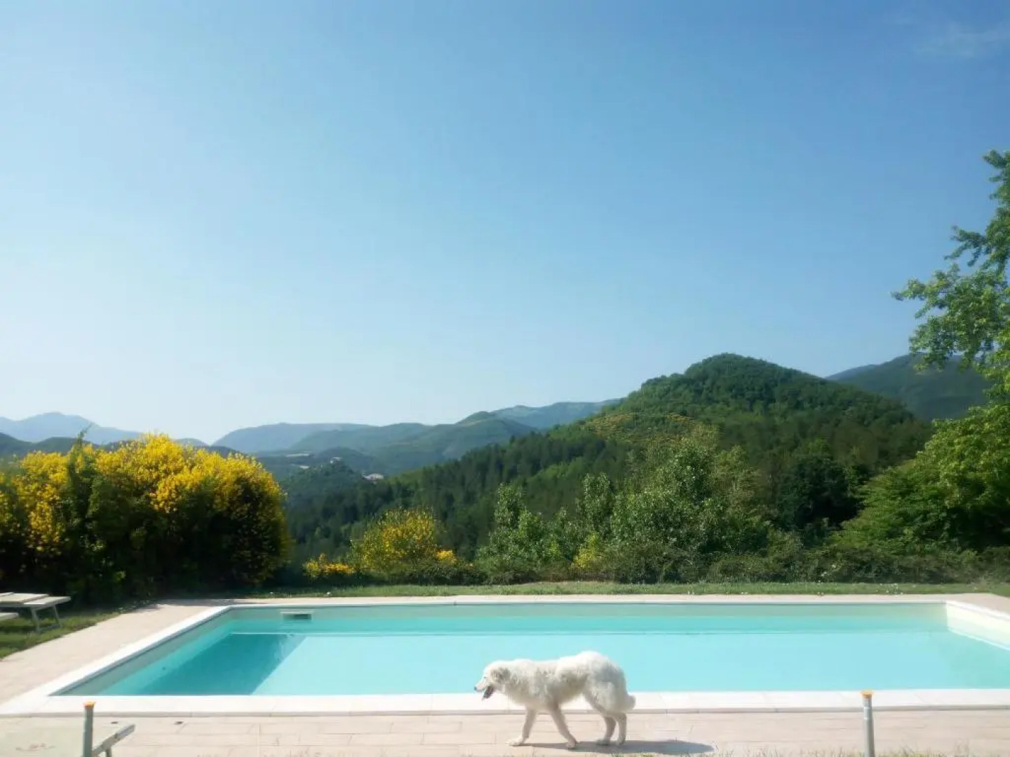 Agriturismo del Frontino - Lo Studio