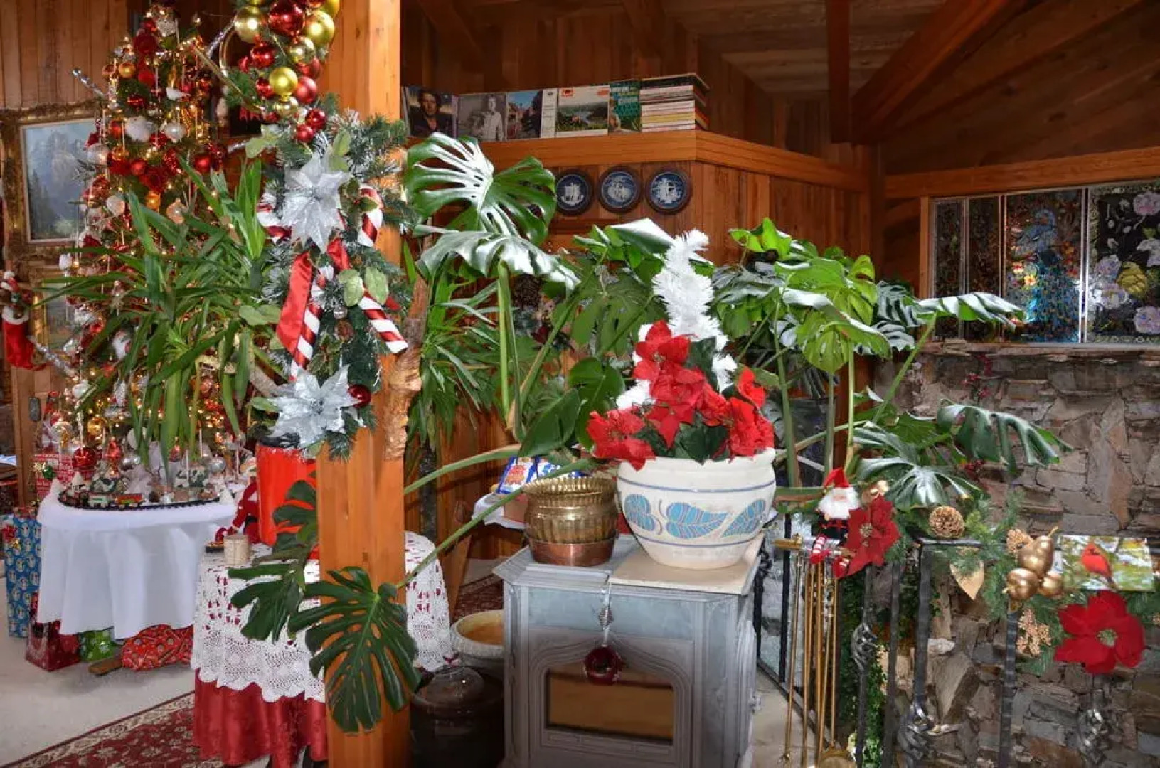 Where Eagles Fly Bed & Breakfast