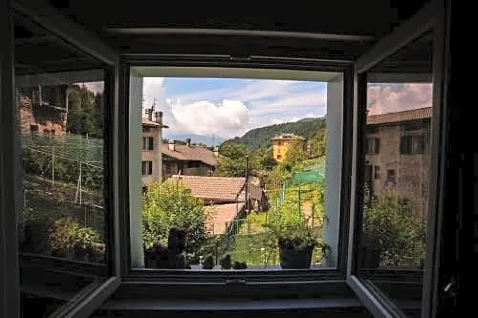 Il Bosco dei 100 Acri