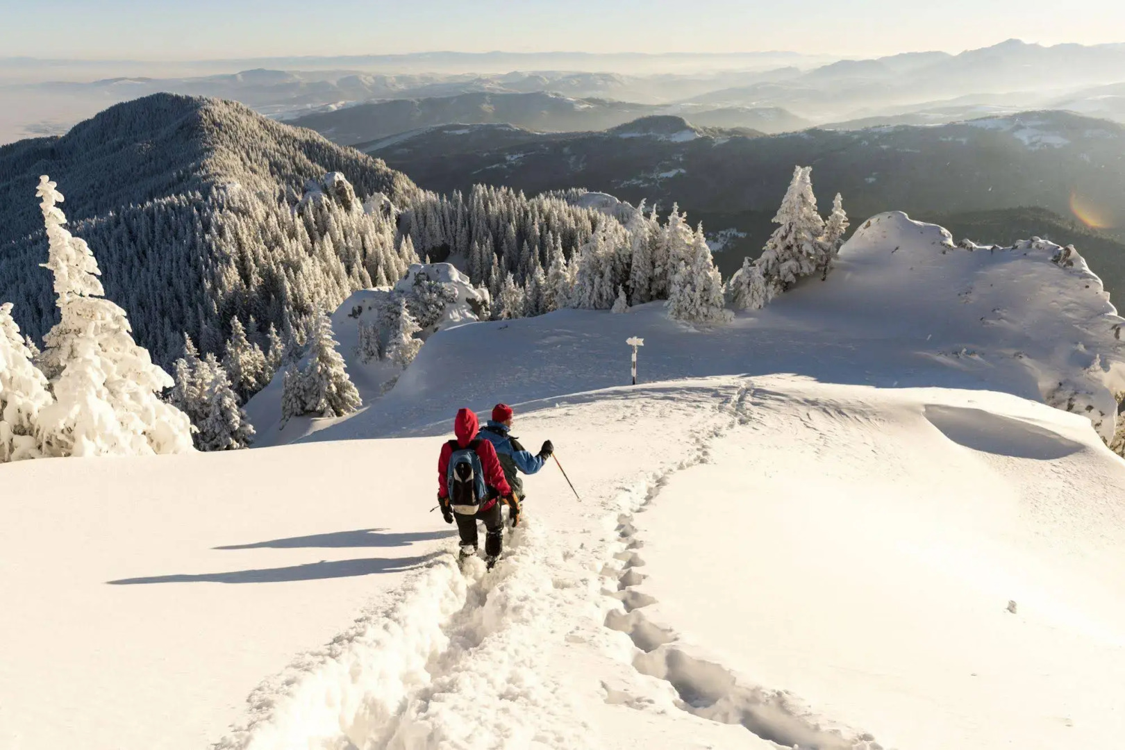 Comano Cattoni Holiday