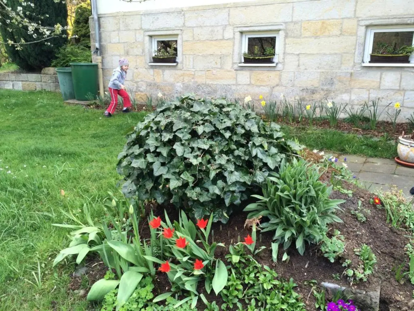 Pension Hönel-Hof Bad Schandau