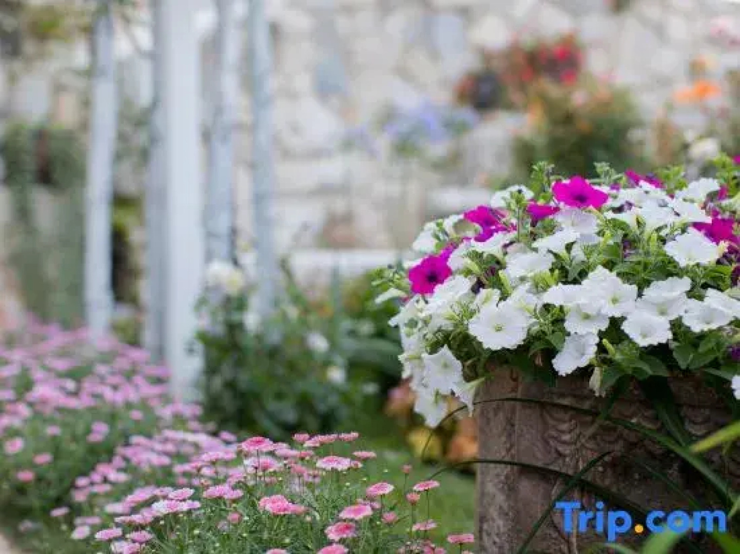 Tinghuatang Seaview Garden Inn