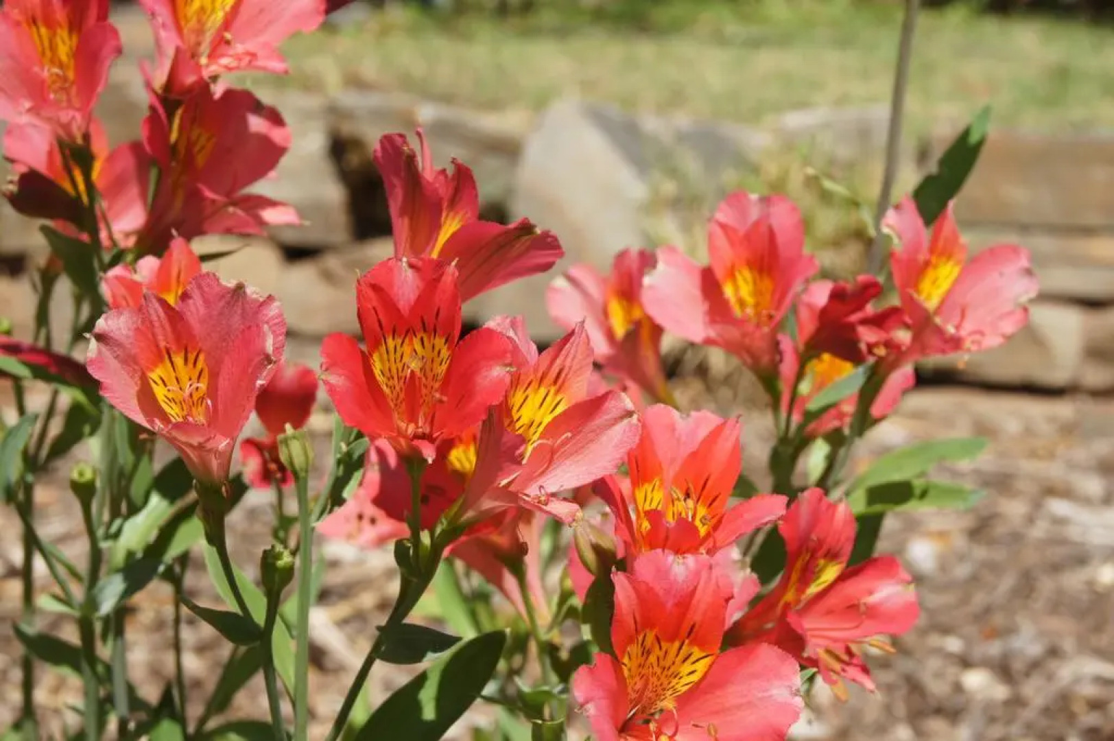 The Lodge Country House