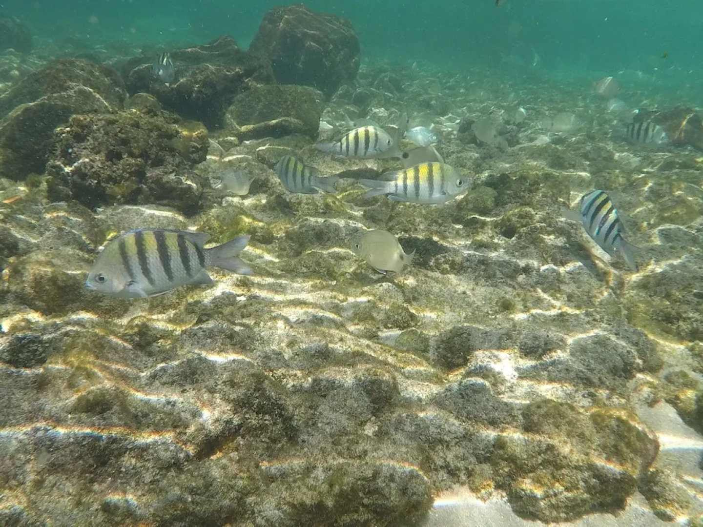 Pousada Convés Ilha Grande