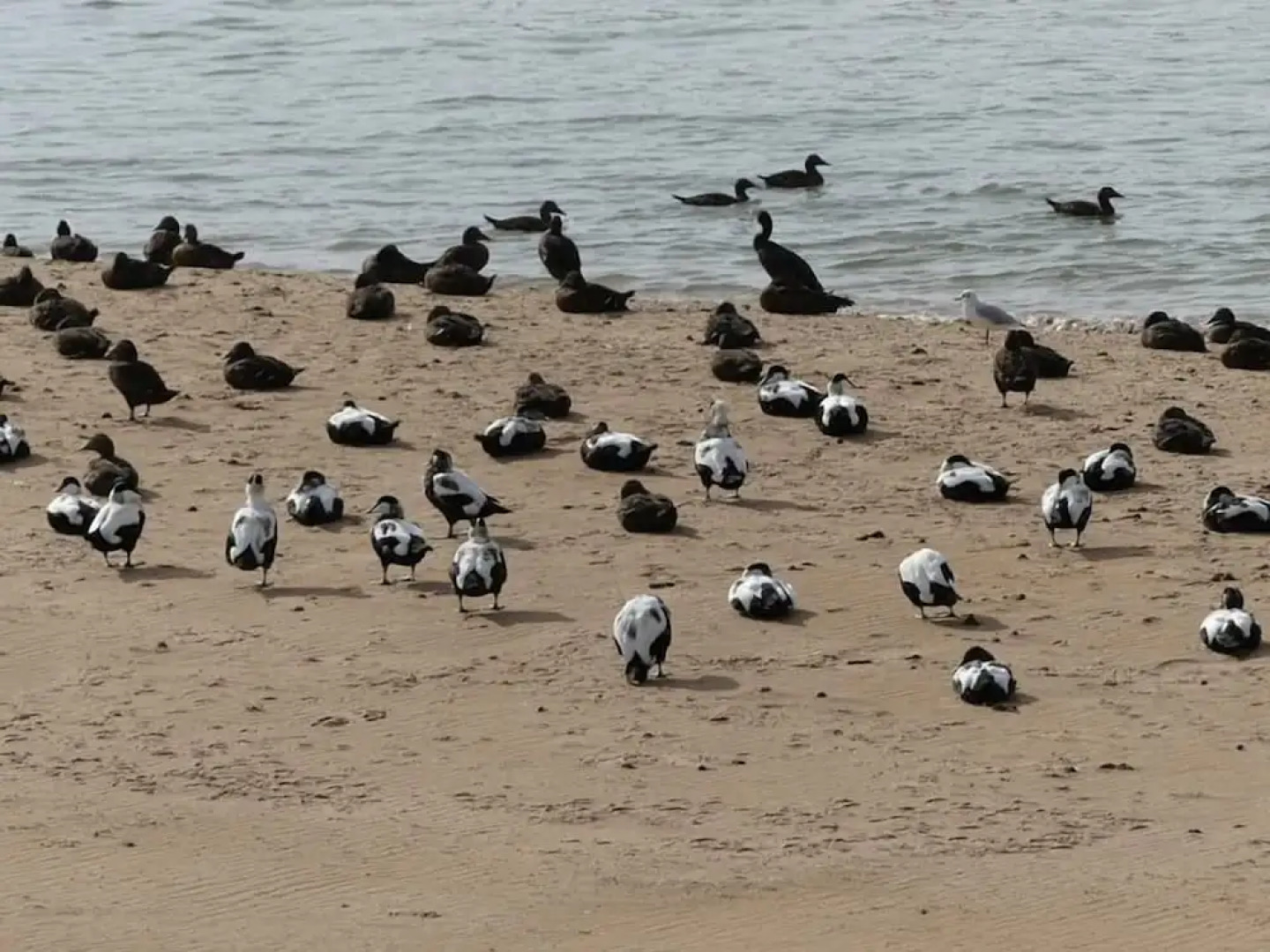 Beautiful House in Village, Newburgh, Ellon
