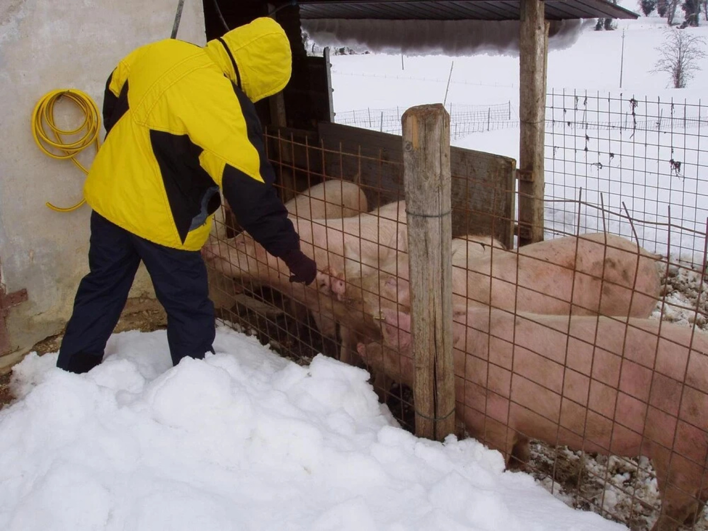 Agriturismo Le Bucoliche