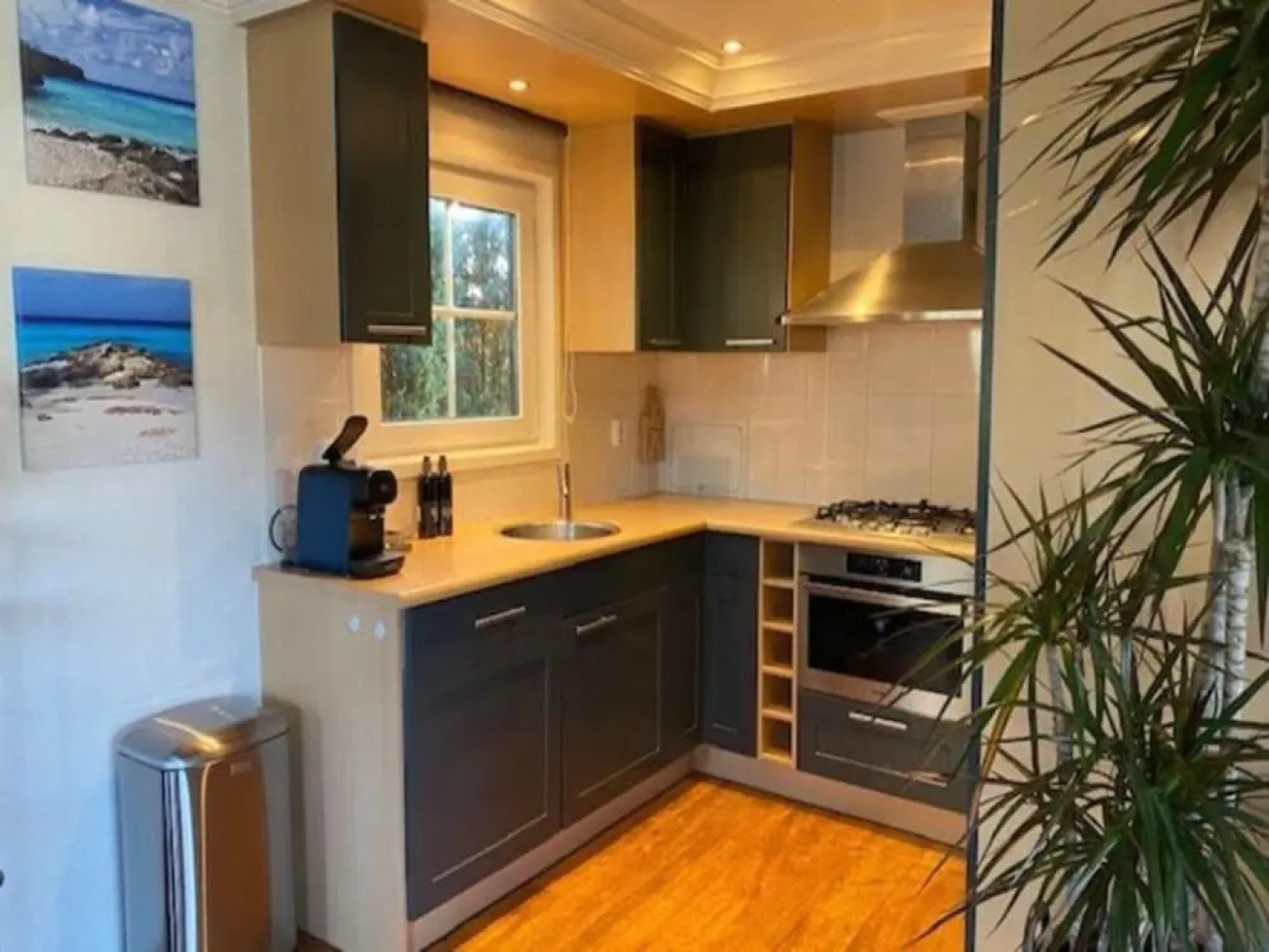 Forest Cabin With Pets