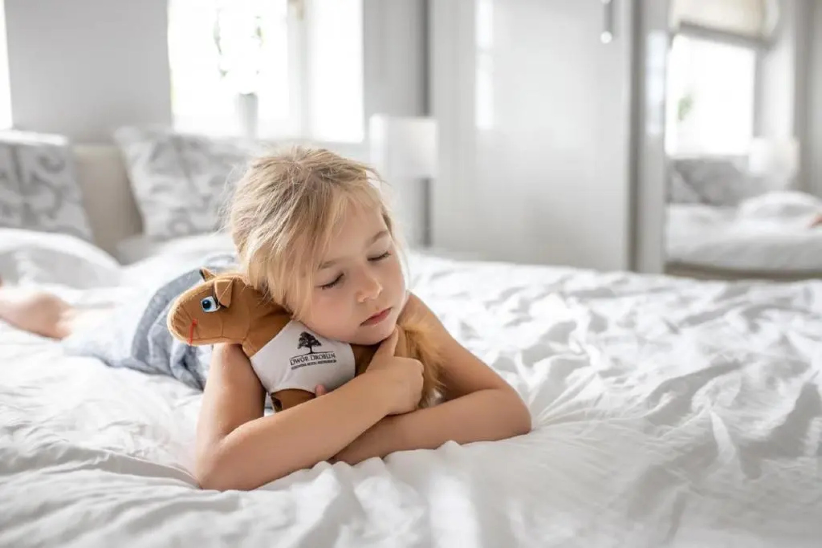 Hotel & Spa Dwór Droblin