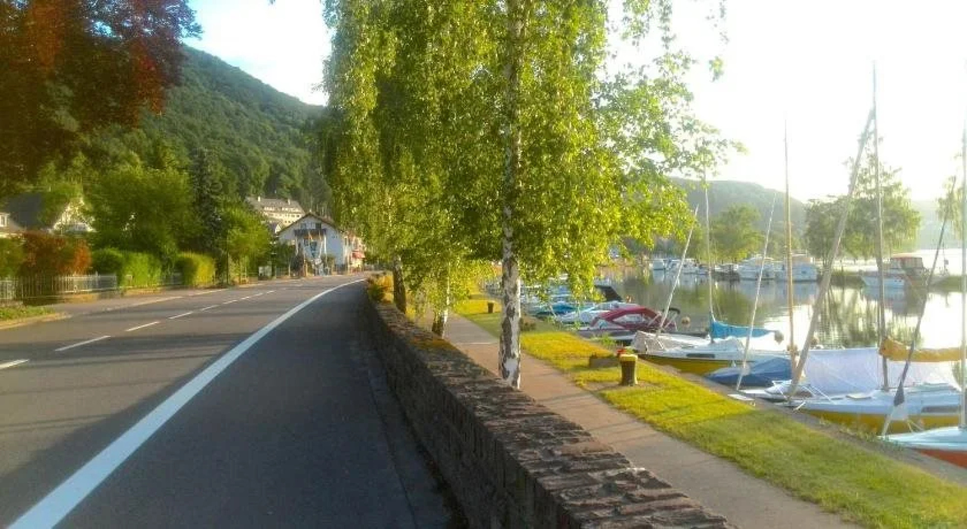Waldherberge Moselblick
