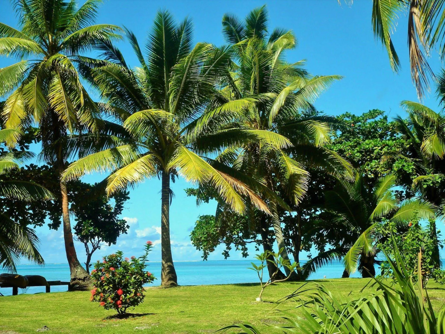Mai Dive Astrolabe Reef Resort