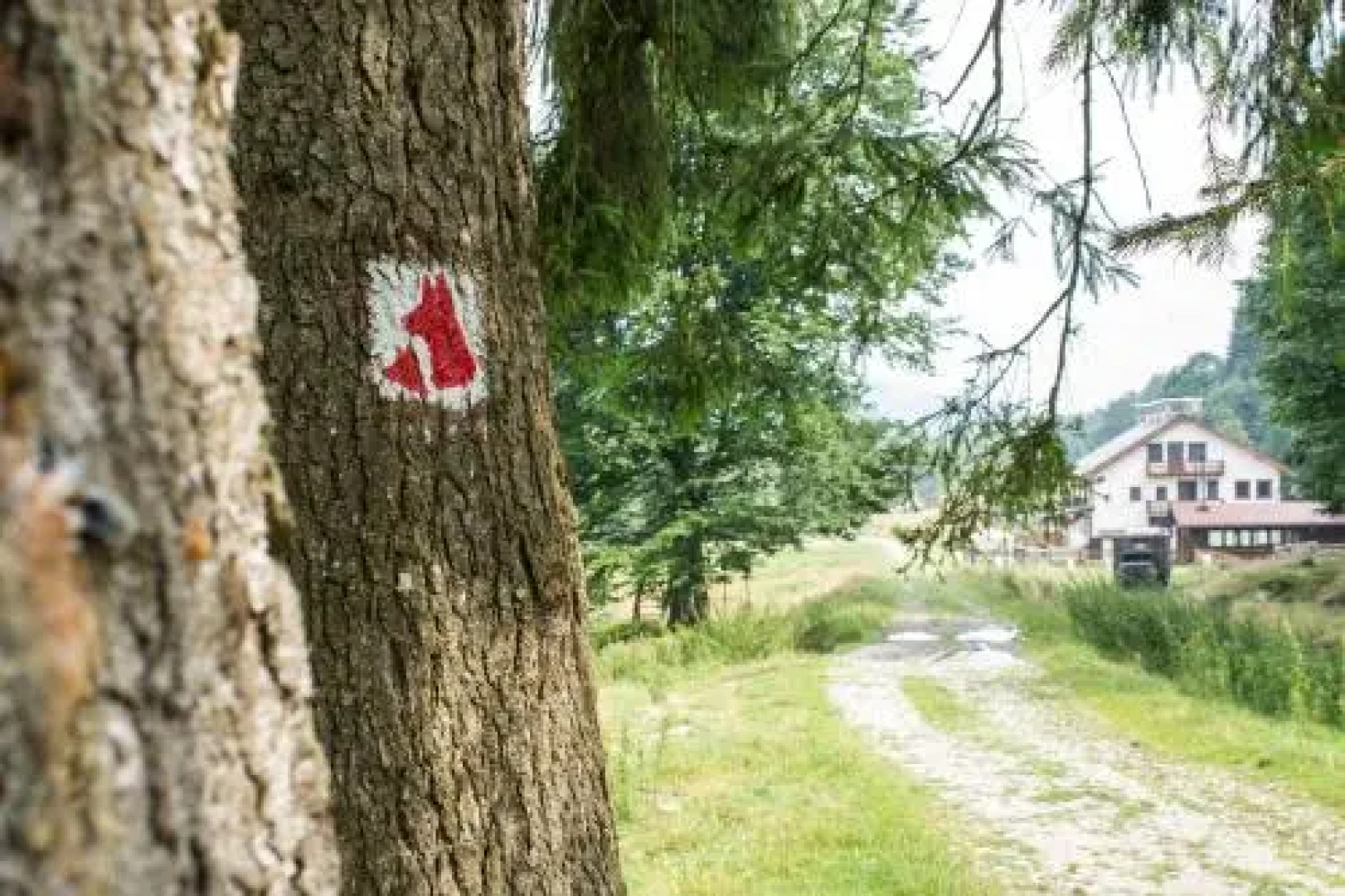 Cabana Barlogul Lupilor