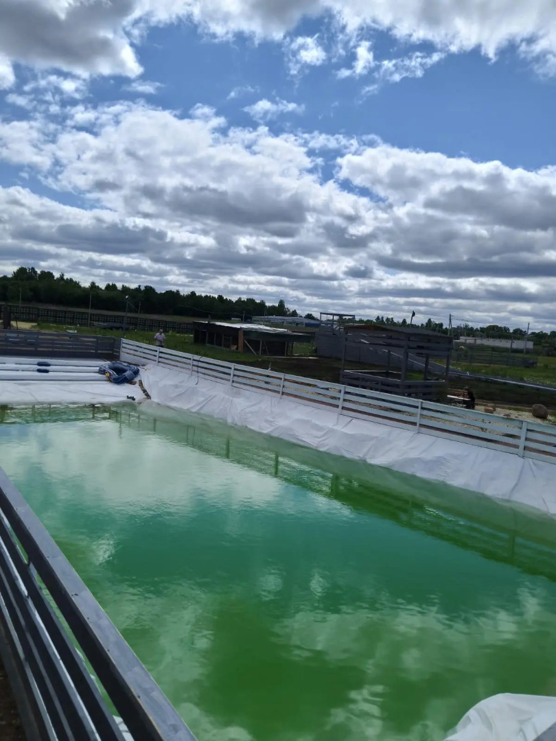 Семейная ферма