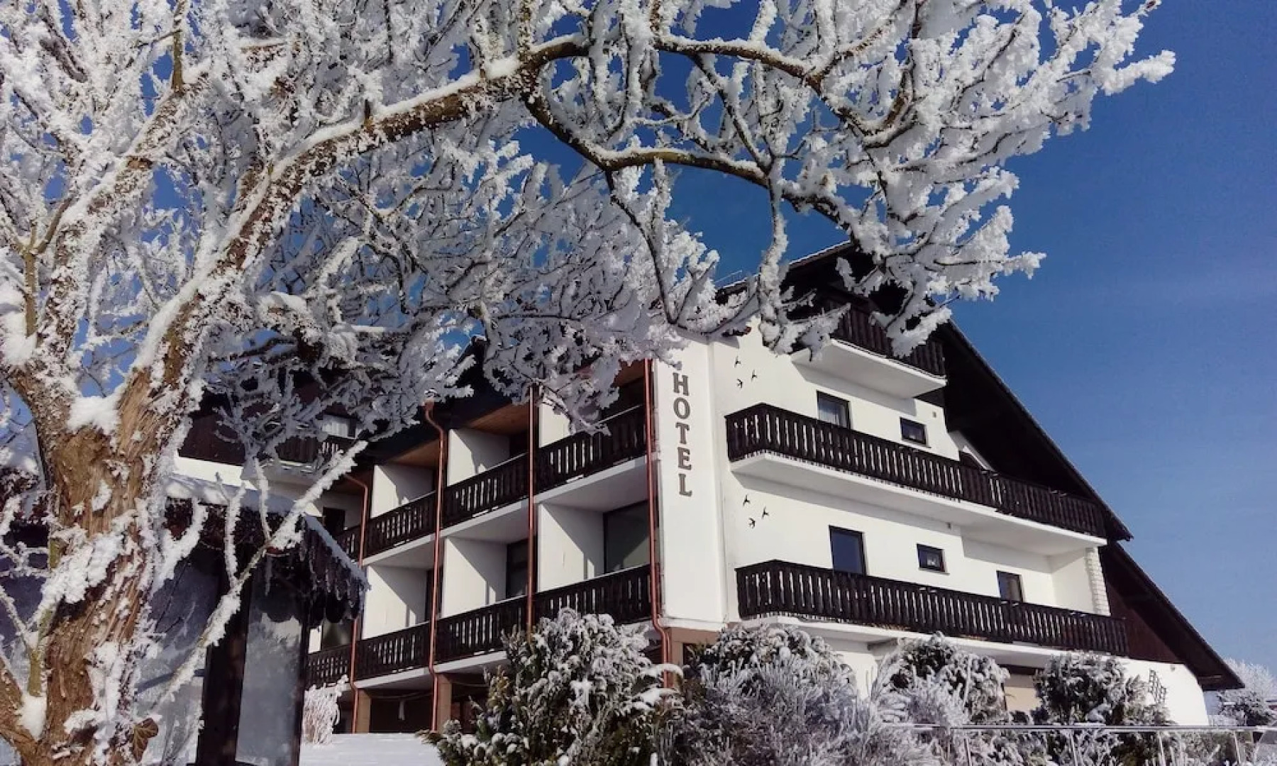 Hotel & Ferienwohnungen Seeschlößchen