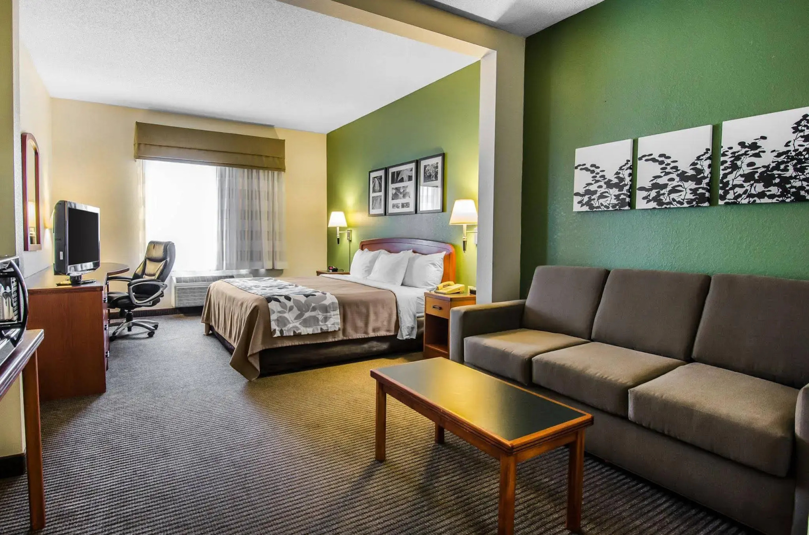 Sleep Inn & Suites Danville Hwy 58