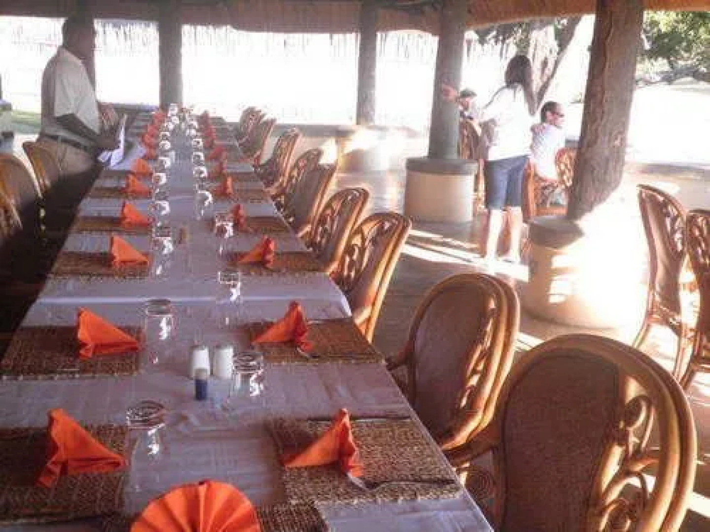 Three Cities Mushroom Lodge