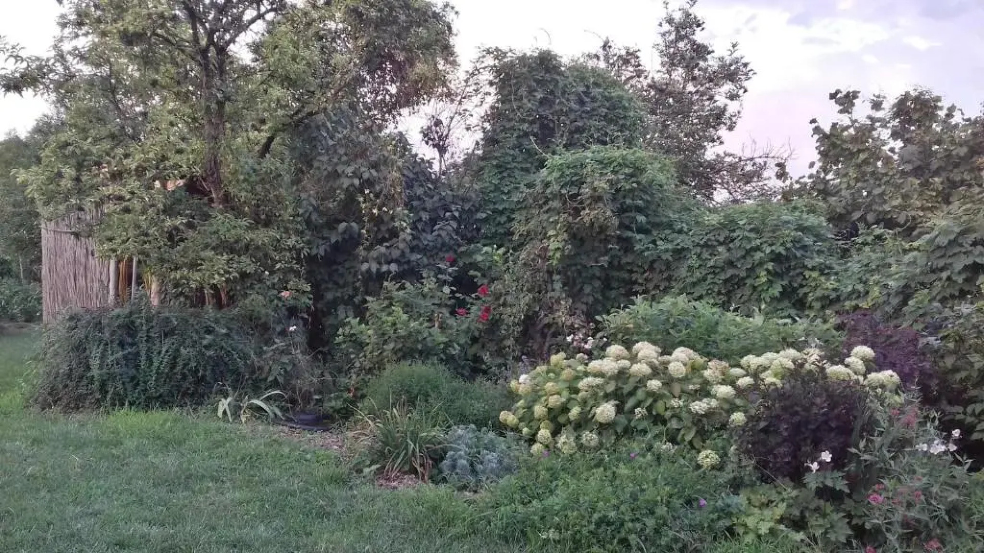 Rigófütty Vendégház