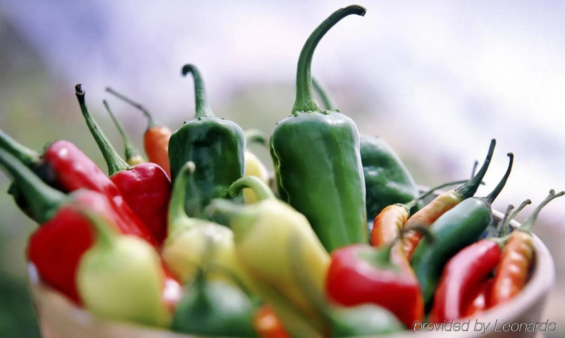 Hotel Encanto de Las Cruces