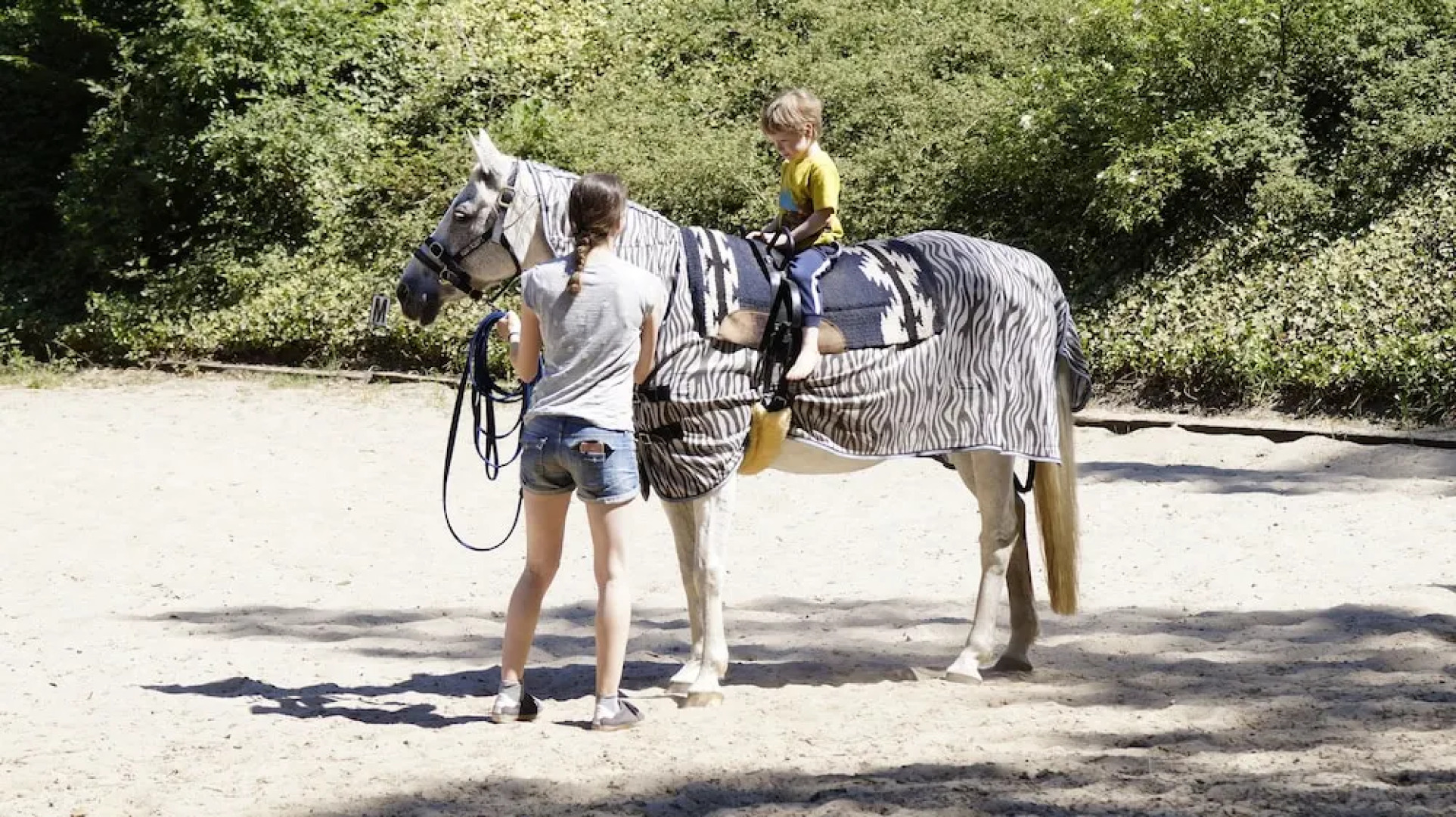 Ferienpension Lindenhof