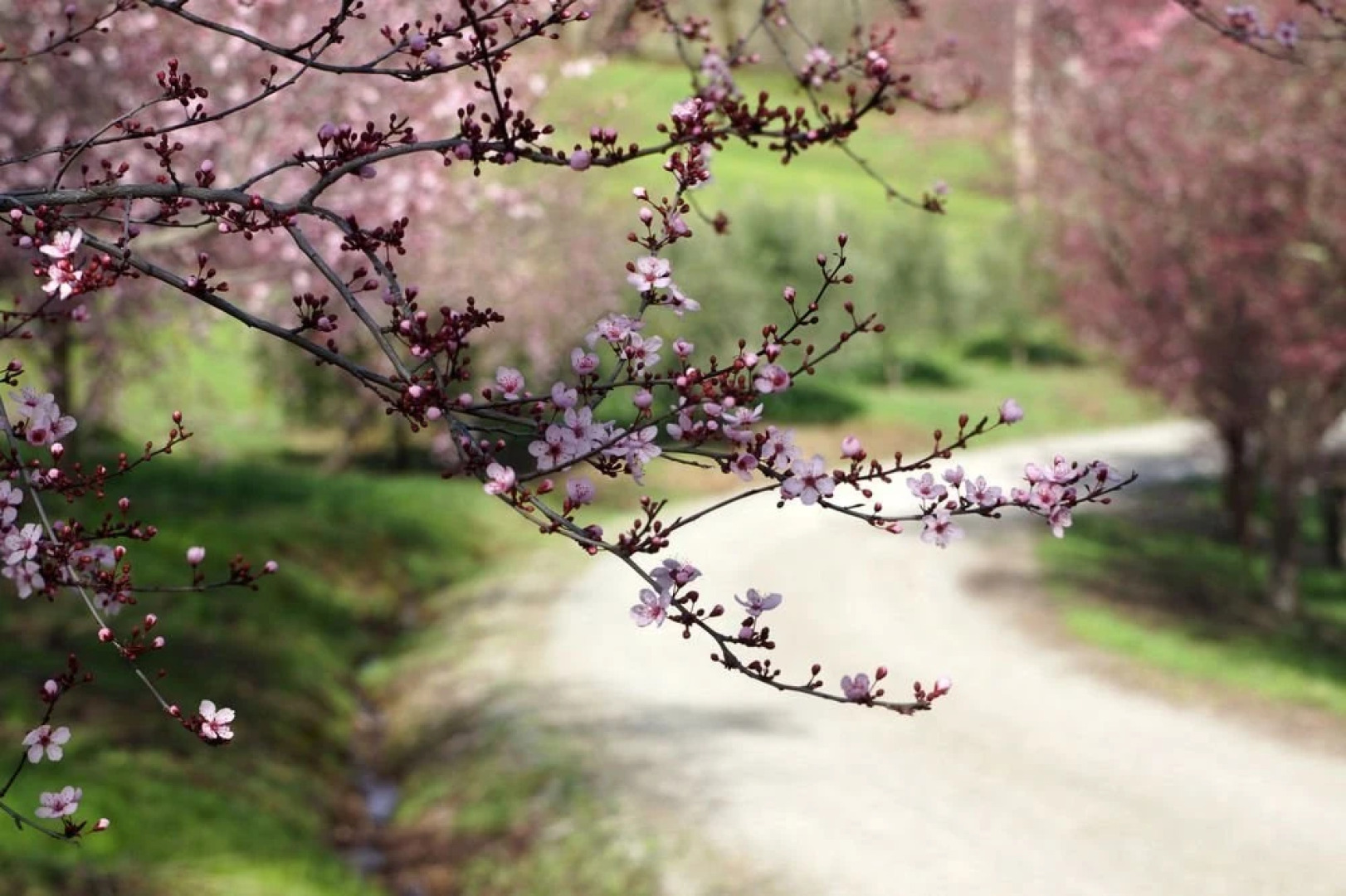 The Highlands Estate