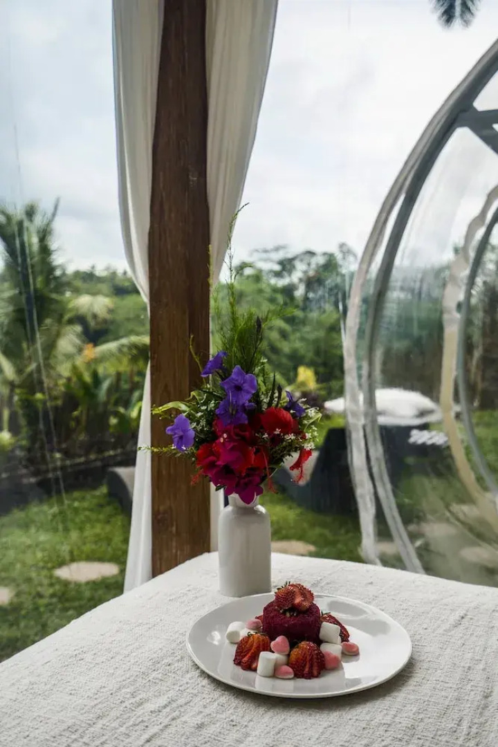 Bubble Hotel Bali Ubud - Glamping