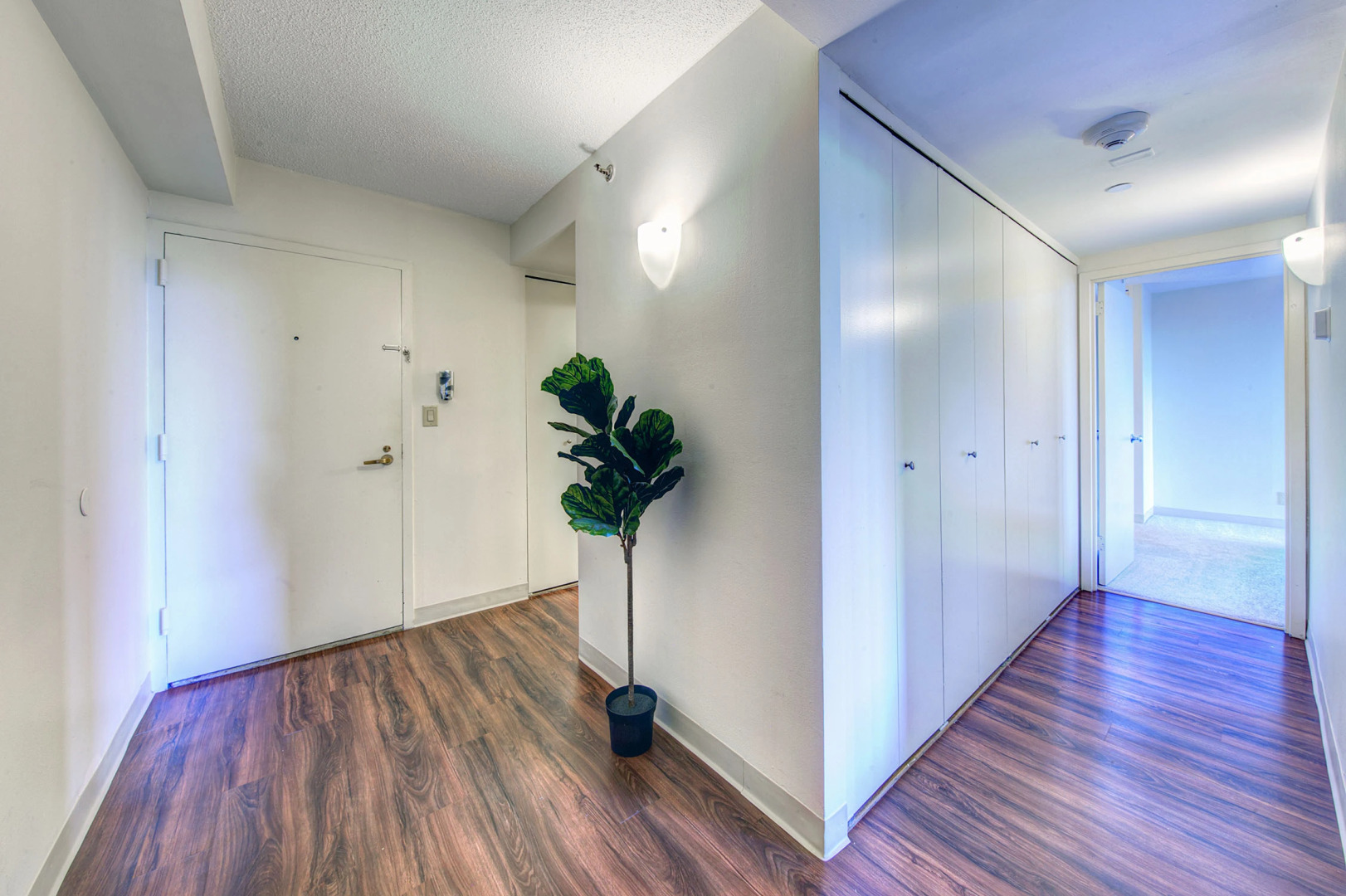 Awesome Apt in the Heart of Back Bay!