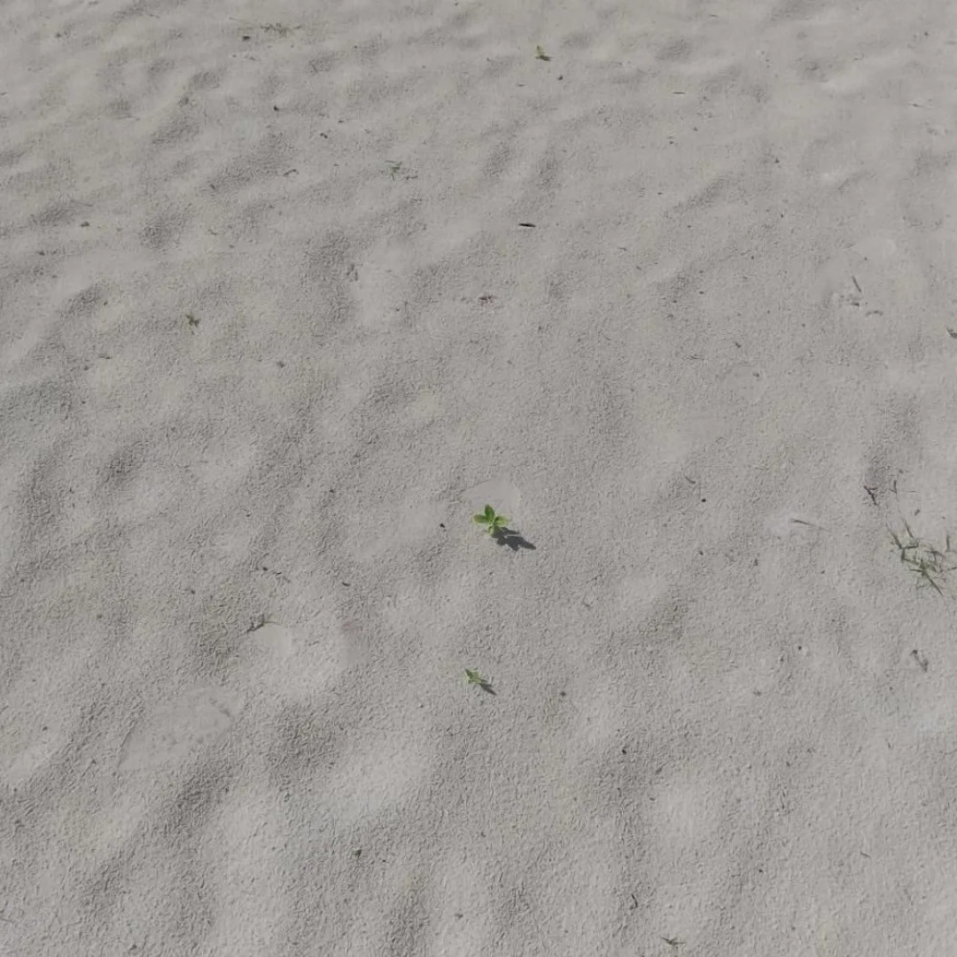 Heritage Retreat Bungalows