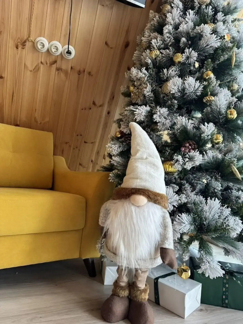 Просчастье Желтый дом