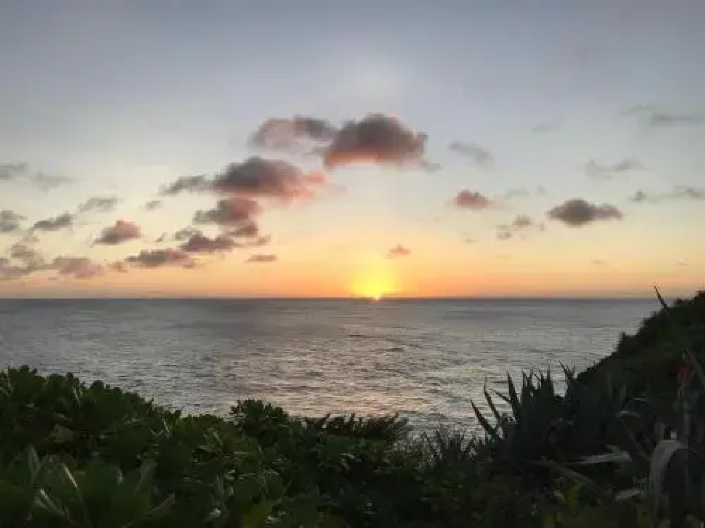 MEEDAFU'S YUI HOSTEL and COFFEE