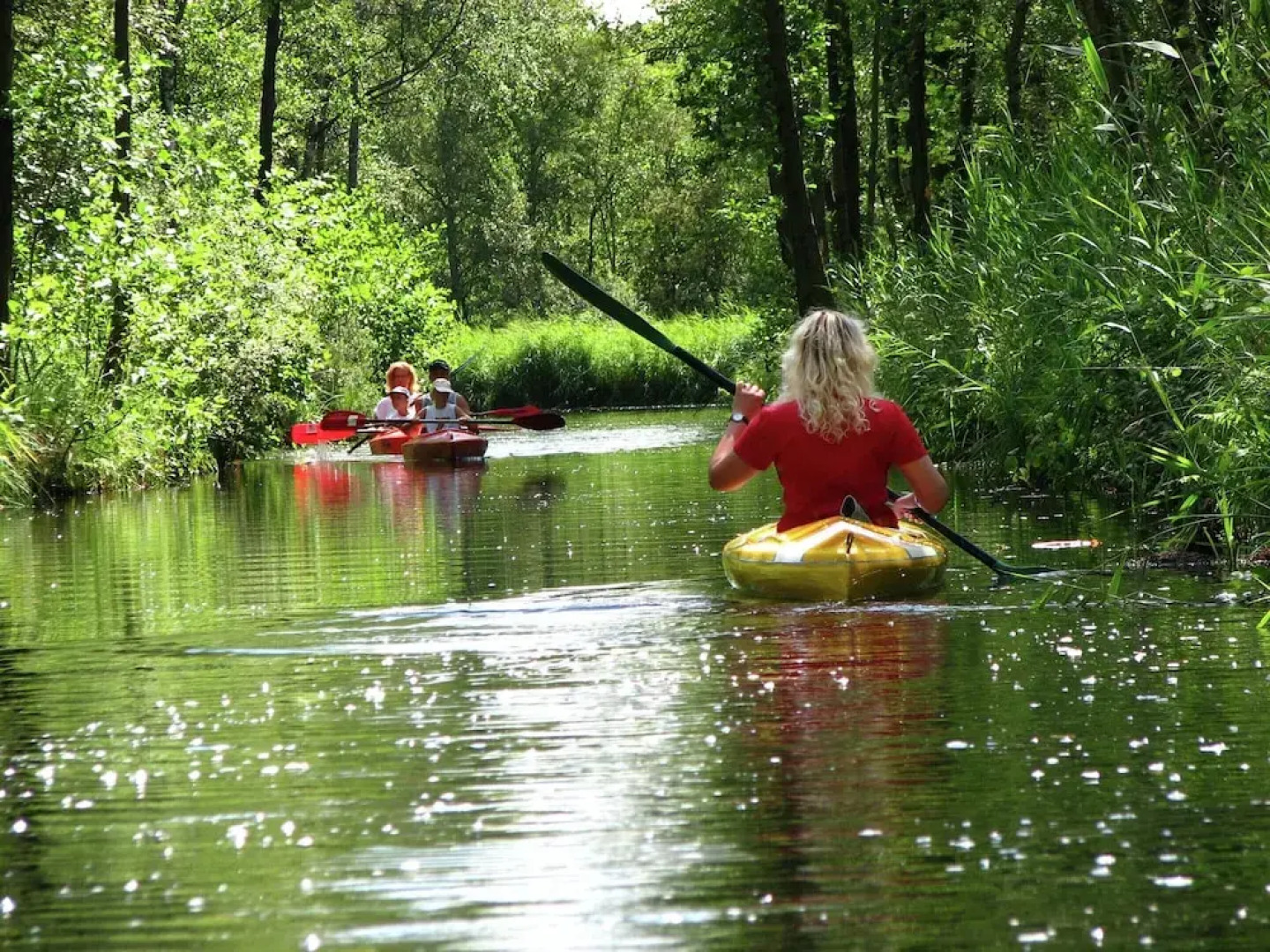 Cottage in De Bult in Natural Surroundings