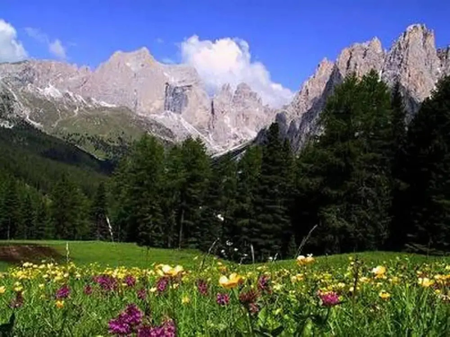 Comfortable House - Garden and Parking