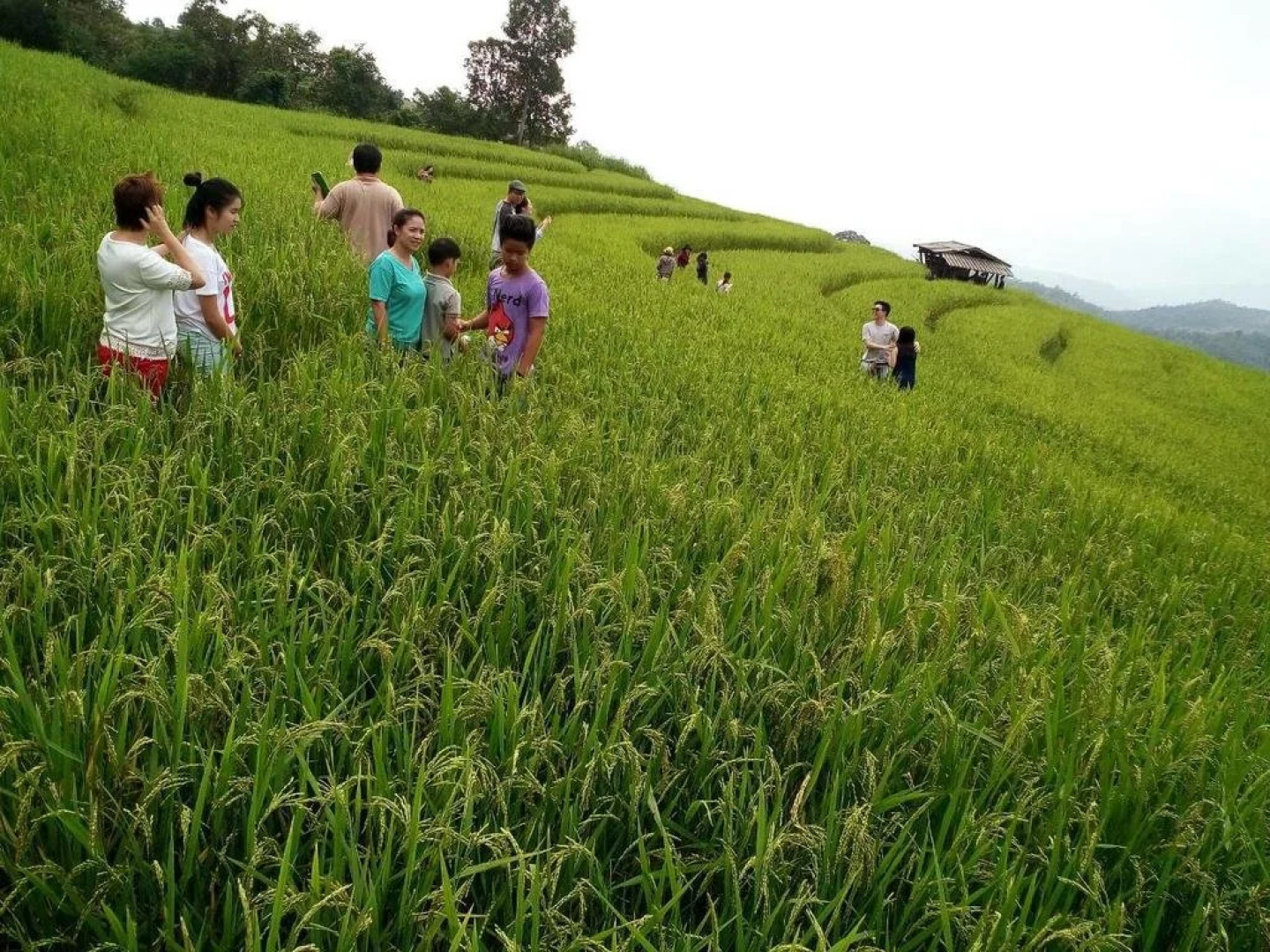 Baan Kub Doi Maechaem