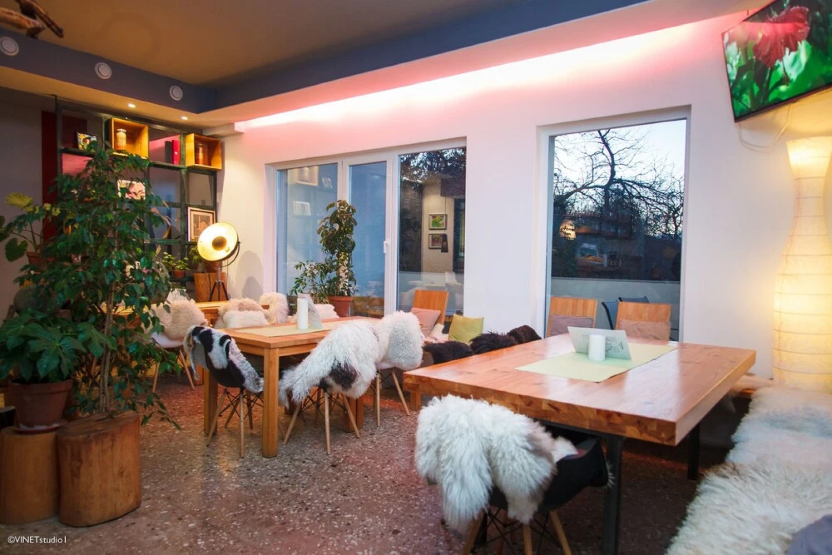 Forest Lodge on the Pyramid