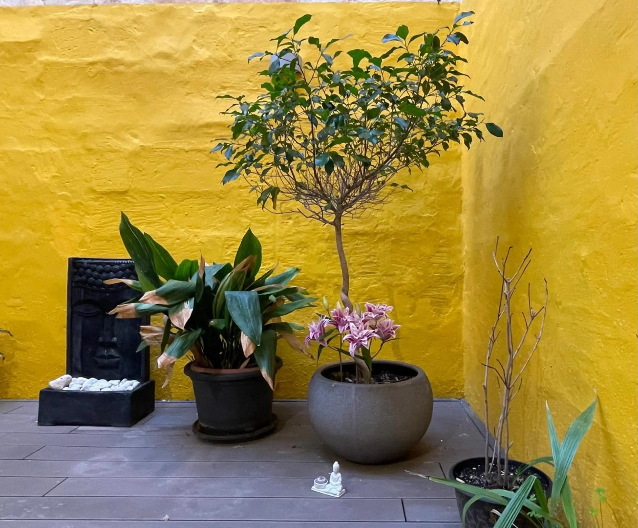 Valletta Collection - Merchant Str Apartment with large yard