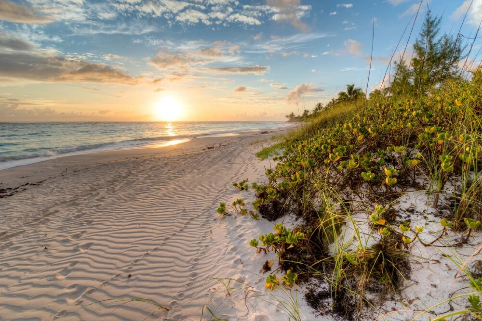 Pineapple Fields Resort