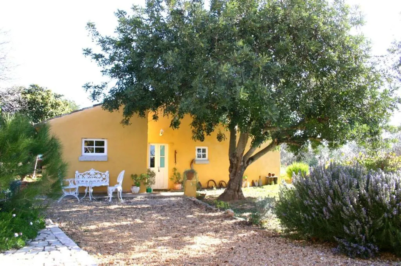 Casa Amarela by Portucasa