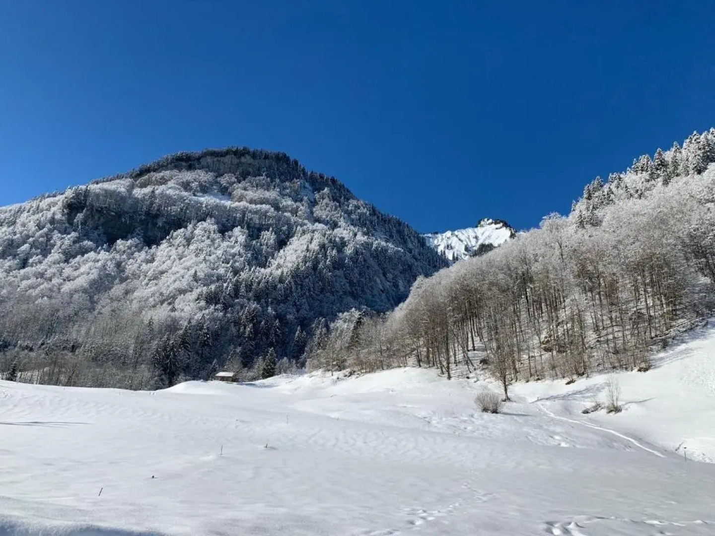 Apartment Klausbrücke